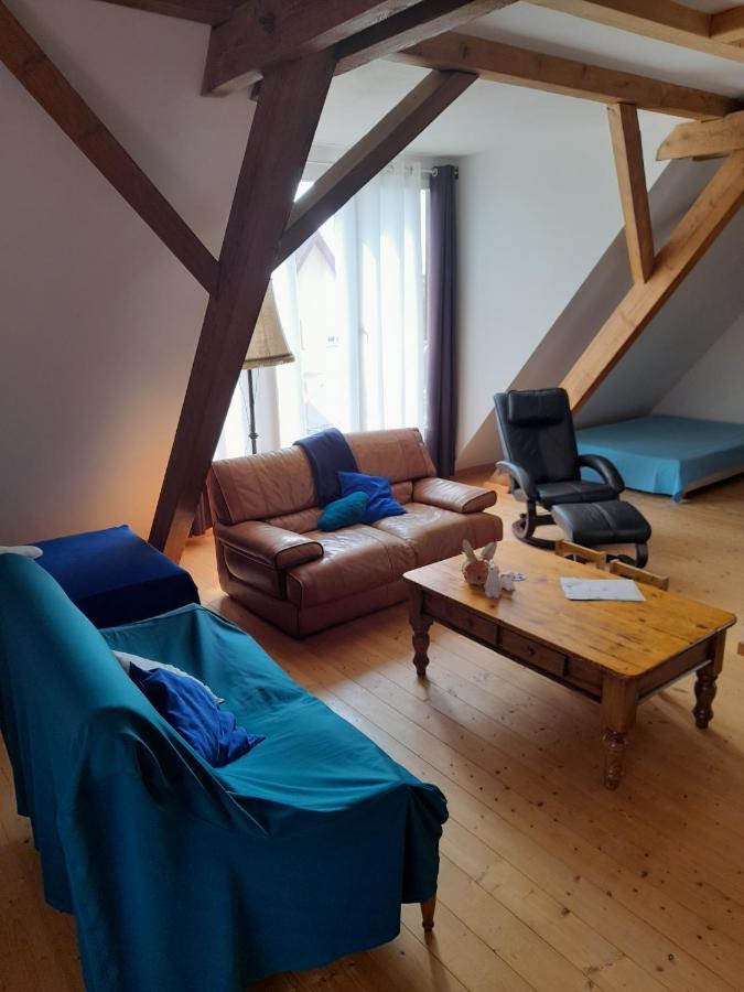 Apigite68, Proche Route Des Vins, Vosges, Colmar Et Non Loin D'europa-park! *